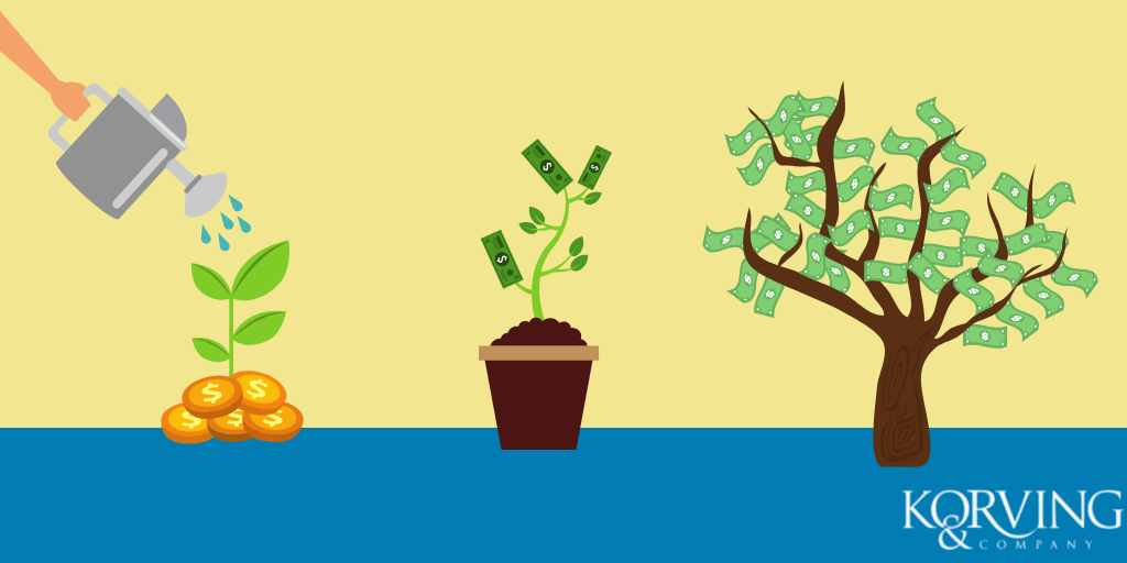 Money Tree Growing Process